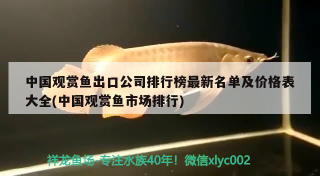 中國觀賞魚出口公司排行榜最新名單及價格表大全(中國觀賞魚市場排行)