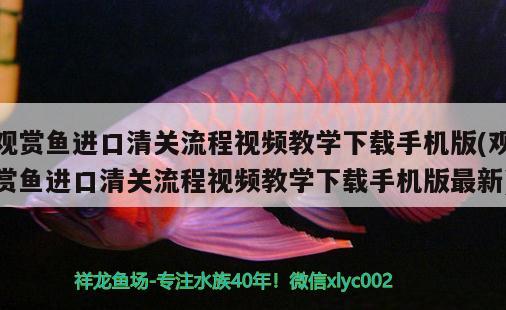 觀賞魚進(jìn)口清關(guān)流程視頻教學(xué)下載手機(jī)版(觀賞魚進(jìn)口清關(guān)流程視頻教學(xué)下載手機(jī)版最新) 觀賞魚進(jìn)出口