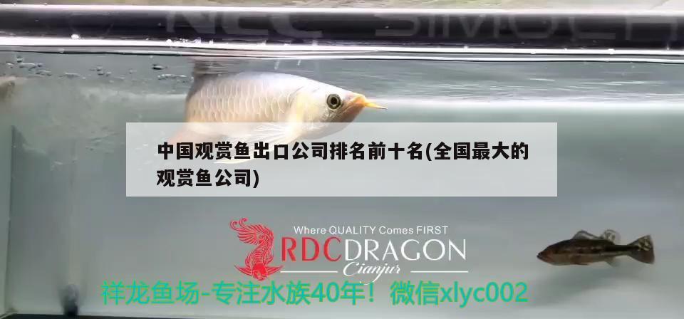 中國觀賞魚出口公司排名前十名(全國最大的觀賞魚公司)