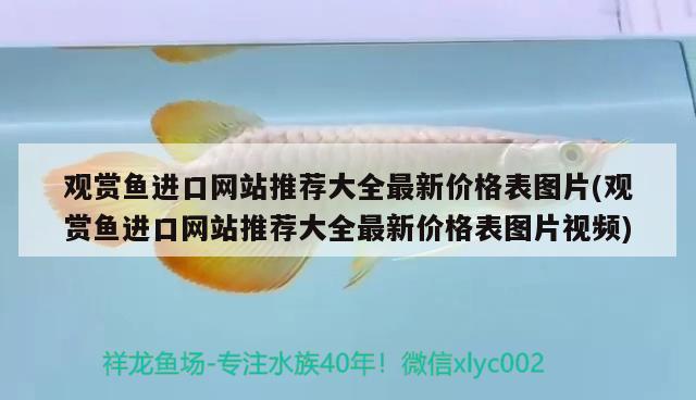 福州魚(yú)缸廠家直銷電話地址及電話地址及電話地址及電話地址，福州魚(yú)缸廠家直銷電話及電話地址及電話地址及電話地址