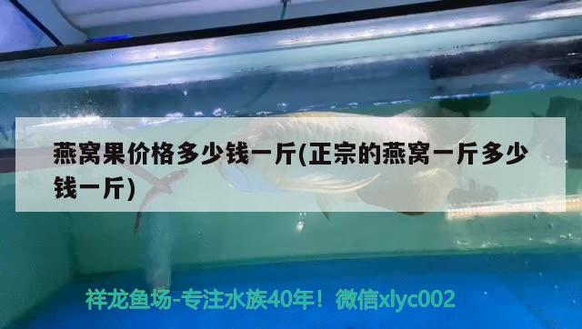 水霉魚缸消毒用什么藥效果好 水霉缸怎么消毒 祥龍魚場