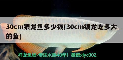 金魚缸燈亮好還是暗好呢（金魚缸燈光） 水族燈（魚缸燈） 第2張