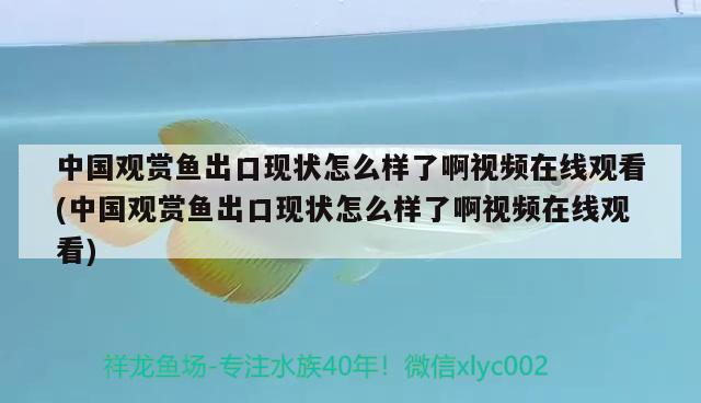 中國觀賞魚出口現(xiàn)狀怎么樣了啊視頻在線觀看(中國觀賞魚出口現(xiàn)狀怎么樣了啊視頻在線觀看) 觀賞魚進(jìn)出口