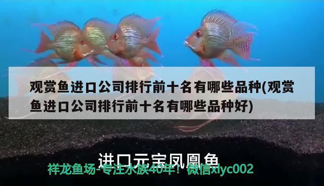 觀賞魚進口公司排行前十名有哪些品種(觀賞魚進口公司排行前十名有哪些品種好) 觀賞魚進出口