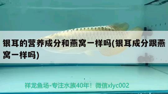 不見天日只考燈會不會死 魚缸百科 第2張