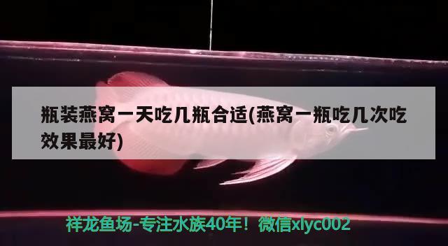 瓶裝燕窩一天吃幾瓶合適(燕窩一瓶吃幾次吃效果最好) 馬來西亞燕窩