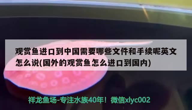 觀賞魚(yú)進(jìn)口到中國(guó)需要哪些文件和手續(xù)呢英文怎么說(shuō)(國(guó)外的觀賞魚(yú)怎么進(jìn)口到國(guó)內(nèi)) 觀賞魚(yú)進(jìn)出口