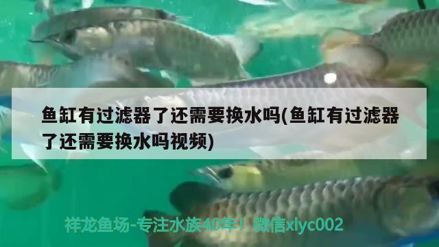 成都哪里有批發(fā)魚缸用品的地方?。ㄕl知道成都哪有賣魚缸的） 過濾設(shè)備