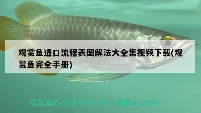 魚(yú)缸燈多少伏電壓夠用，魚(yú)缸電燈一般都是幾v的，魚(yú)缸燈多少伏電壓夠用和魚(yú)缸電燈一般都是幾v的對(duì)應(yīng)信息 戰(zhàn)車紅龍魚(yú) 第2張