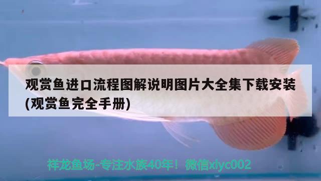 觀賞魚進(jìn)口流程圖解說明圖片大全集下載安裝(觀賞魚完全手冊(cè)) 觀賞魚進(jìn)出口