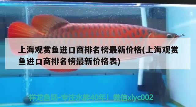 上海觀賞魚進口商排名榜最新價格(上海觀賞魚進口商排名榜最新價格表) 觀賞魚進出口 第1張