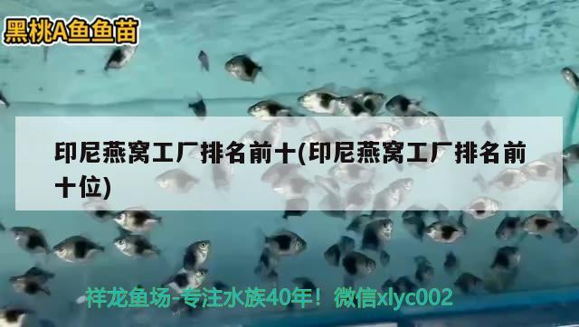 怎樣才能判斷孔雀魚生完了小魚，怎樣確定孔雀魚生完了