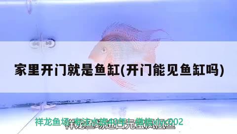 大型魚缸漏水修補方法視頻 