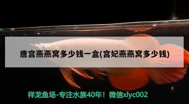 慶大霉素可以放到魚缸里面嗎 慶大霉素能放到魚缸里嗎