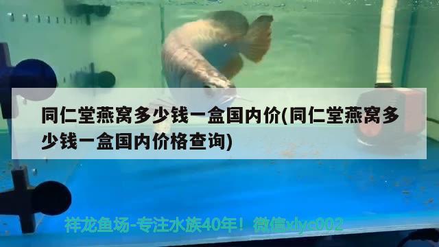 黃金眼鏡蛇雷龍魚