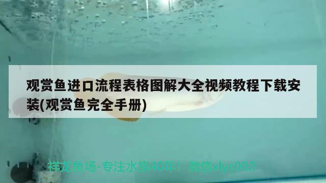 觀賞魚進(jìn)口流程表格圖解大全視頻教程下載安裝(觀賞魚完全手冊) 觀賞魚進(jìn)出口