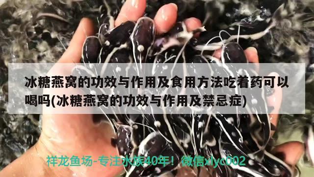 臨汾清洗魚缸電話