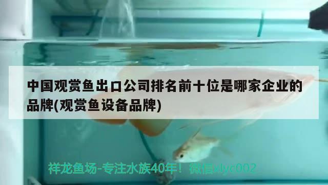 沈陽有回收舊魚缸的嗎電話地址查詢：沈陽二手魚缸低價出售 廣州水族批發(fā)市場 第3張