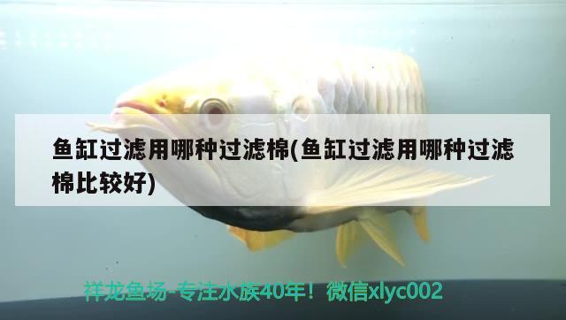 魚缸過濾用哪種過濾棉(魚缸過濾用哪種過濾棉比較好) 巴卡雷龍魚