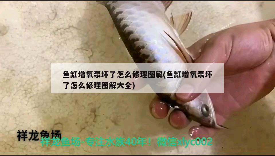 小型家用魚缸過濾系統(tǒng)價格（大魚缸過濾器大概是什么價格呢）