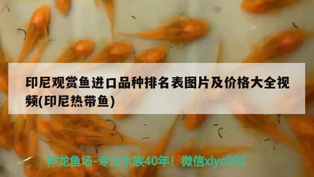 豐縣金潤玻璃店 全國水族館企業(yè)名錄 第2張