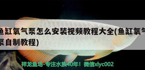 魚缸需要加維生素嗎為什么(魚缸多久加一次維生素) 沖氧泵 第1張