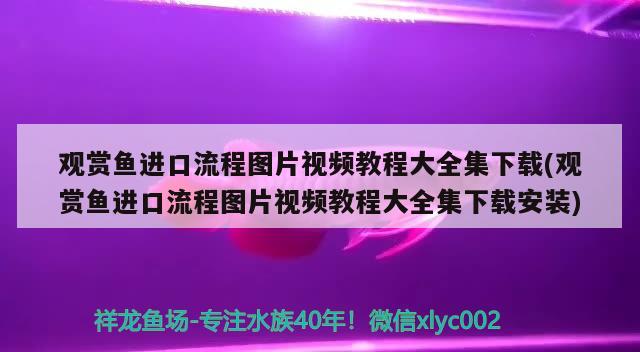 觀賞魚進口流程圖片視頻教程大全集下載(觀賞魚進口流程圖片視頻教程大全集下載安裝) 觀賞魚進出口