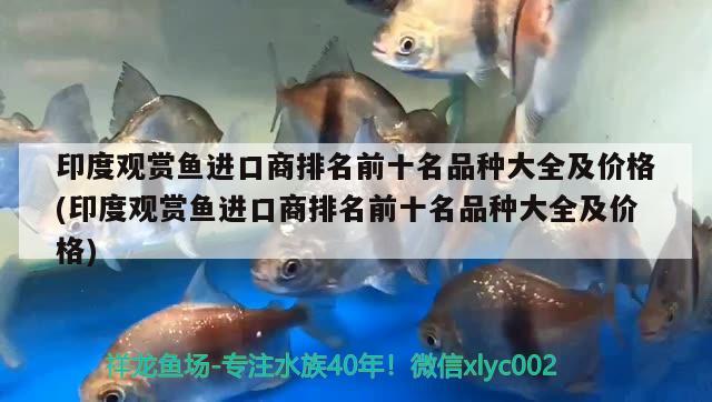 長春魚缸造景培訓(xùn)班哪家好一點（ 長春哪里賣魚缸）