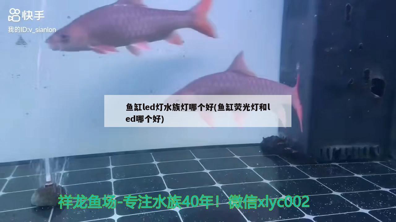 魚缸led燈水族燈哪個好(魚缸熒光燈和led哪個好)