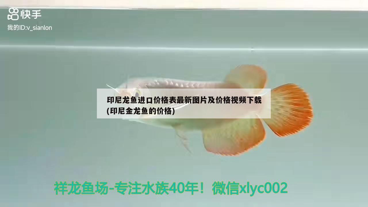 各位魚友大神們你們感覺我小道伽體形咋樣？