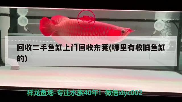 回收二手魚缸上門回收東莞(哪里有收舊魚缸的) 水族維護(hù)服務(wù)（上門）