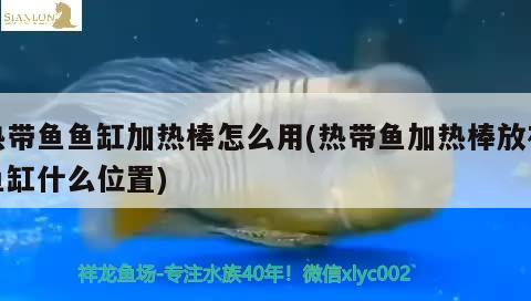 新魚(yú)缸內(nèi)壁水垢清除妙招：新魚(yú)缸水里有沫子怎么回事 觀賞魚(yú)市場(chǎng) 第3張