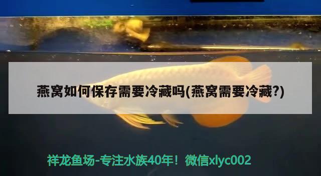 魚缸放在家里哪個位置比較好_（魚缸放在家里哪個位置比較好呢） 其他品牌魚缸