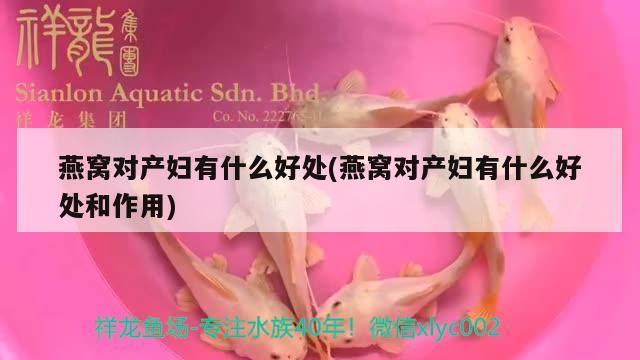 燕窩對產(chǎn)婦有什么好處(燕窩對產(chǎn)婦有什么好處和作用)