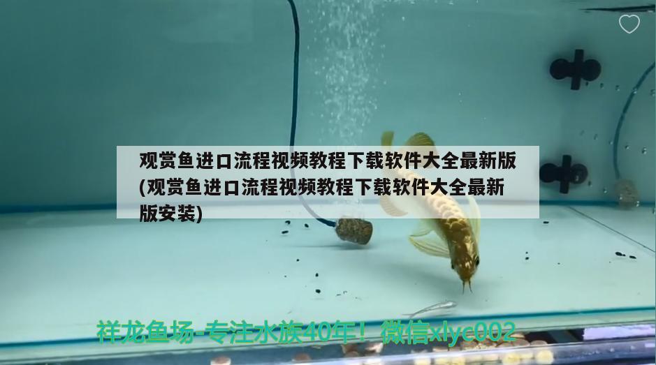 魚缸陶粒什么顏色的好看又實(shí)用：魚缸陶粒怎么選