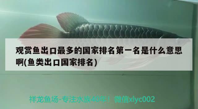 觀賞魚(yú)出口最多的國(guó)家排名第一名是什么意思啊(魚(yú)類出口國(guó)家排名) 觀賞魚(yú)進(jìn)出口