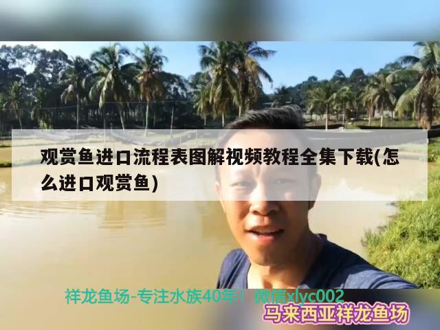 觀賞魚進(jìn)口流程表圖解視頻教程全集下載(怎么進(jìn)口觀賞魚)