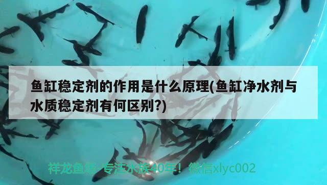 怎么辨別藍(lán)寶石手表鏡面，湛藍(lán)寶石魚繁殖方法