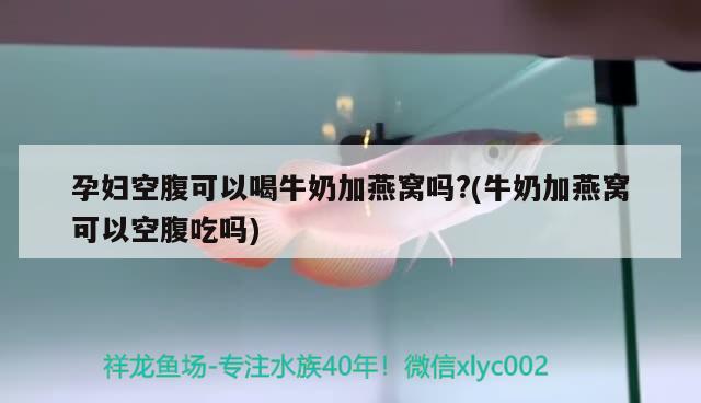 孕婦空腹可以喝牛奶加燕窩嗎?(牛奶加燕窩可以空腹吃嗎) 馬來西亞燕窩