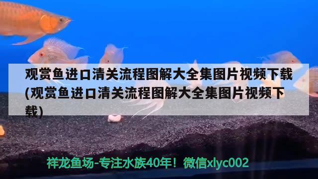 南京大型魚缸哪家公司做的產(chǎn)品質(zhì)量好，南京玻璃魚缸加工廠哪家的質(zhì)量好