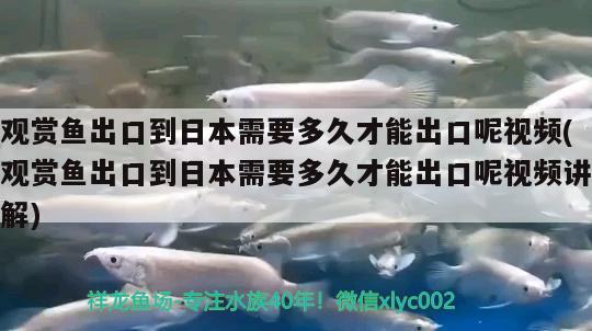 觀賞魚能進地鐵嗎？帶觀賞魚可以坐地鐵嗎？，觀賞魚能進地鐵嗎