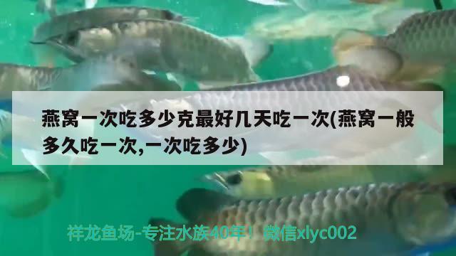 觀賞魚能進(jìn)地鐵嗎？帶觀賞魚可以坐地鐵嗎？，觀賞魚能進(jìn)地鐵嗎 羽毛刀魚苗 第1張