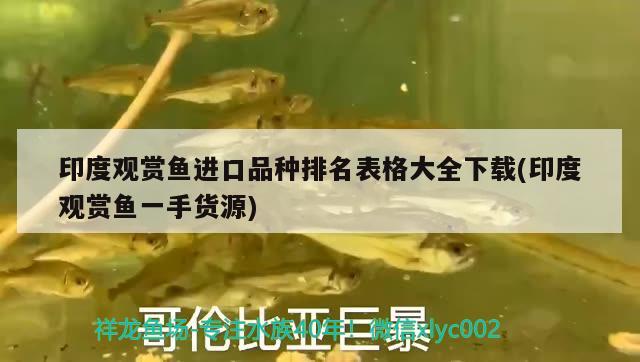 印度觀賞魚進(jìn)口品種排名表格大全下載(印度觀賞魚一手貨源) 觀賞魚進(jìn)出口