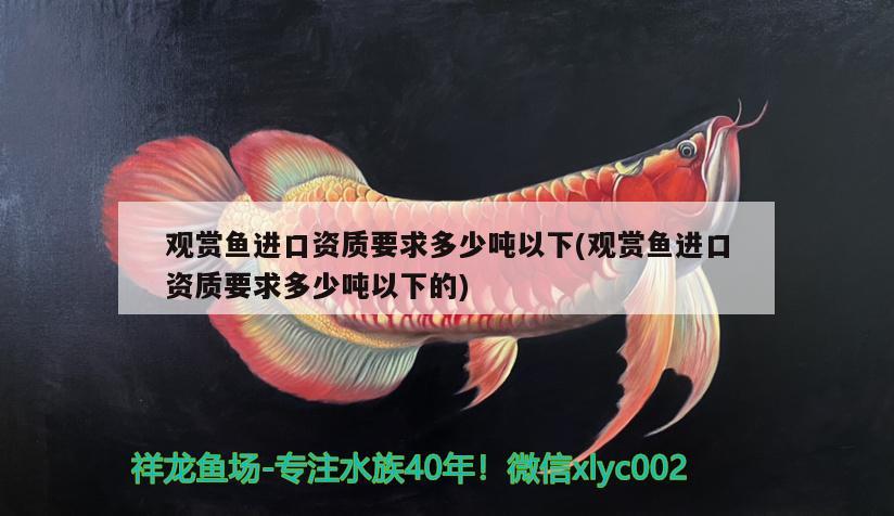 觀賞魚進(jìn)口資質(zhì)要求多少噸以下(觀賞魚進(jìn)口資質(zhì)要求多少噸以下的) 觀賞魚進(jìn)出口