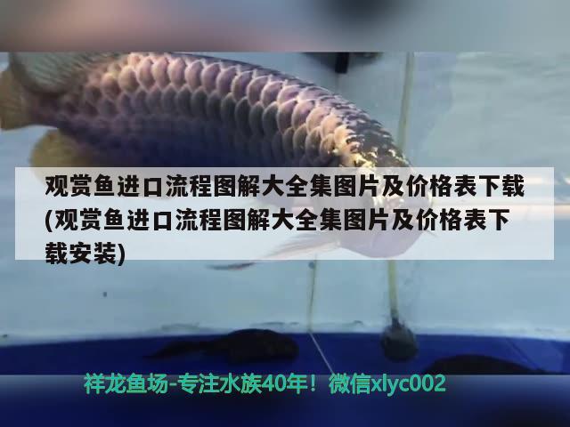 觀賞魚進(jìn)口流程圖解大全集圖片及價(jià)格表下載(觀賞魚進(jìn)口流程圖解大全集圖片及價(jià)格表下載安裝) 觀賞魚進(jìn)出口