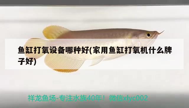 魚缸打氧設(shè)備哪種好(家用魚缸打氧機(jī)什么牌子好) 祥龍魚場(chǎng)品牌產(chǎn)品