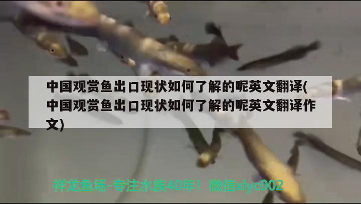 中國觀賞魚出口現(xiàn)狀如何了解的呢英文翻譯(中國觀賞魚出口現(xiàn)狀如何了解的呢英文翻譯作文) 觀賞魚進(jìn)出口