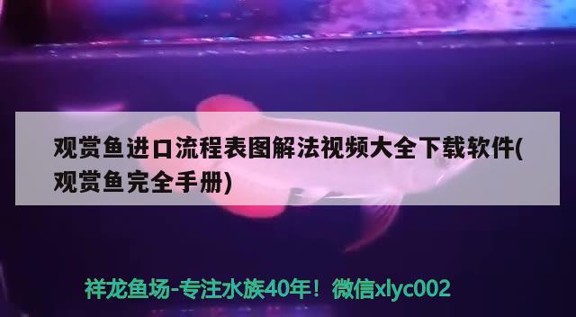 觀賞魚進(jìn)口流程表圖解法視頻大全下載軟件(觀賞魚完全手冊(cè)) 觀賞魚進(jìn)出口