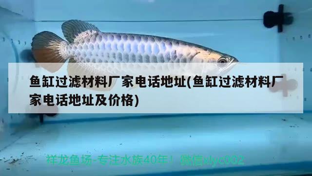 魚缸過濾材料廠家電話地址(魚缸過濾材料廠家電話地址及價格) 泰龐海鰱魚