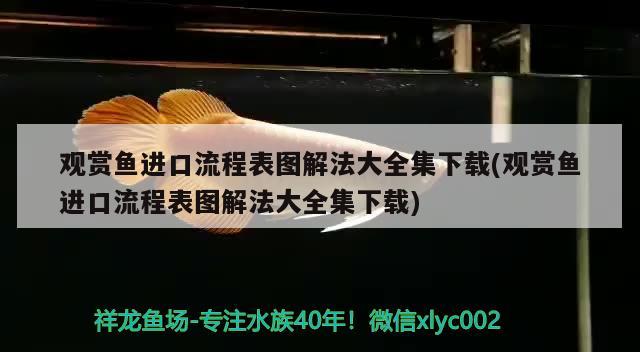 觀賞魚進口流程表圖解法大全集下載(觀賞魚進口流程表圖解法大全集下載)